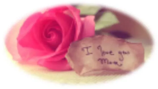 Majka je preselila na ahiret, a nikad joj nisam rekao da je volim...